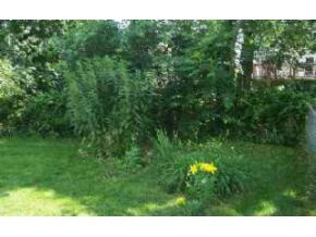 621 Ryan Rd, Bloomington, IN 47403 photo 9