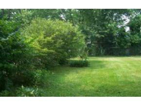 901 East Grimes Lane, Bloomington, IN 47401 photo 5
