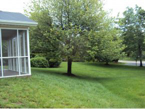 718 Pepperridge Dr, Bloomington, IN 47401 photo 3