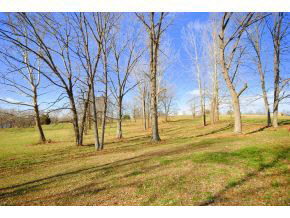 12531 E Sr 54, Springville, IN 47462 photo 18