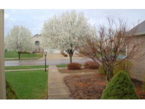 3686 E Tamarron Dr, Bloomington, IN 47408 photo 3