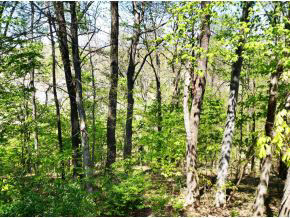 2374 E Winding Brook Cir, Bloomington, IN 47401 photo 18