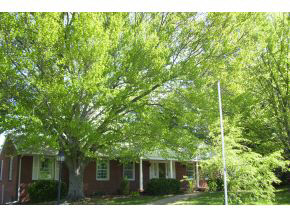 3609 E 3rd St, Bloomington, IN 47408 photo 2