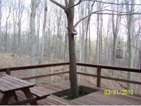 6491 E Cox Dr, Bloomington, IN 47408 photo 18