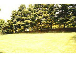 959 East Winslow Road, Bloomington, IN 47401 photo 7