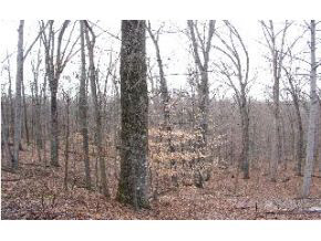 7221 Windfree Lane, Bloomington, IN 47401 photo 12