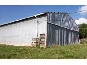 146 Concord Rd, Spencer, IN 47460 photo 6