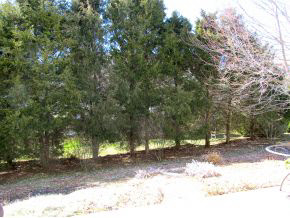 3850 S Claybridge Dr, Bloomington, IN 47401 photo 15