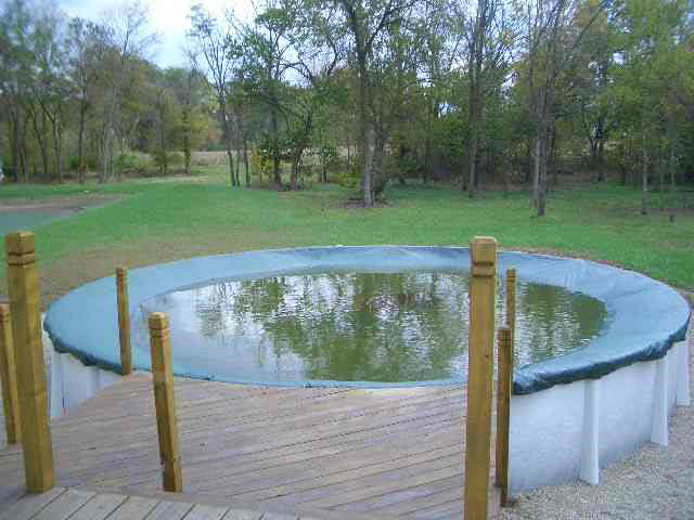 7032 S Petersburg Rd, Monroe City, IN 47557 photo 7
