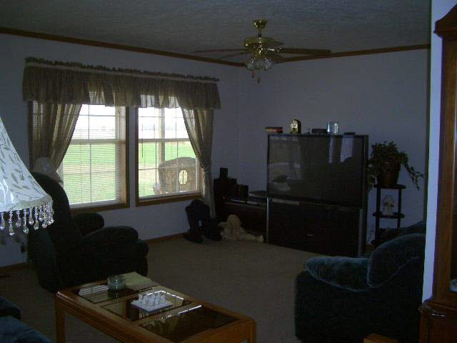7032 S Petersburg Rd, Monroe City, IN 47557 photo 4