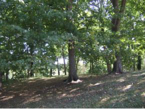 235 E Rhorer Rd, Bloomington, IN 47401 photo 4