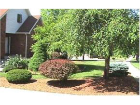 2804 E Winston St, Bloomington, IN 47401 photo 10