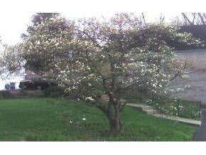 414 East Wylie Street, Bloomington, IN 47401 photo 15