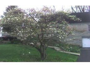 414 East Wylie Street, Bloomington, IN 47401 photo 13