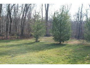 2001 W Stanton Ct, Bloomington, IN 47404 photo 24