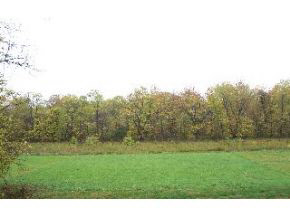 1123 Calloway St, Bloomington, IN 47401 photo 14