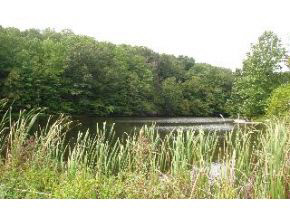 8379 E Fleener Rd, Bloomington, IN 47408 photo 9