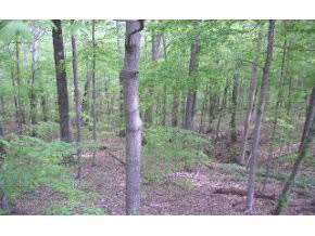 7447 S Windfree Ln, Bloomington, IN 47401 photo 12