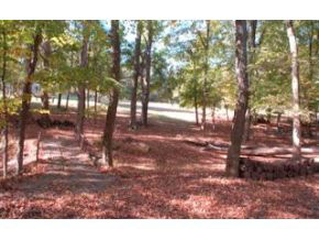 3600 E Robin Rd, Bloomington, IN 47401 photo 5