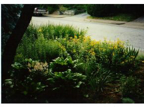 422 E University St, Bloomington, IN 47401 photo 12