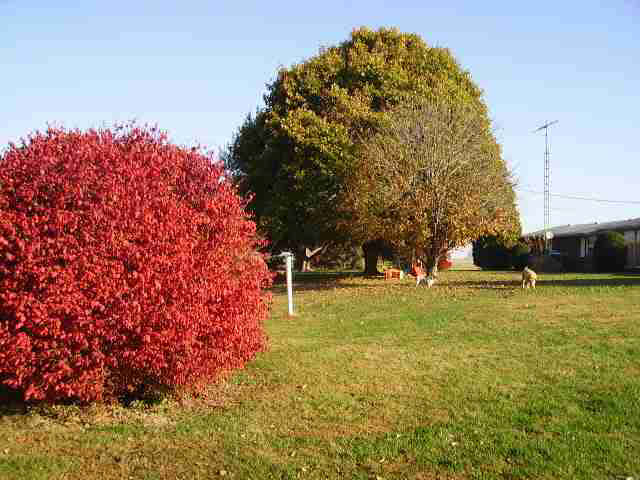 11237 N Risley Rd, Oaktown, IN 47561 photo 8