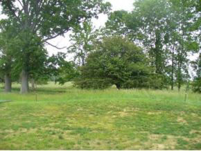1676 Deer Haven Ct, Spencer, IN 47460 photo 3