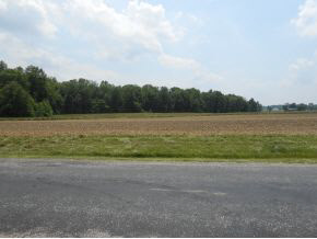 1776 Schooling Rd, Spencer, IN 47460 photo 4