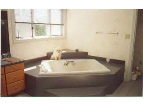 4516 Outback Rd, Bloomington, IN 47404 photo 7