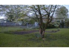 511 Allen St W, Bloomington, IN 47403 photo 10