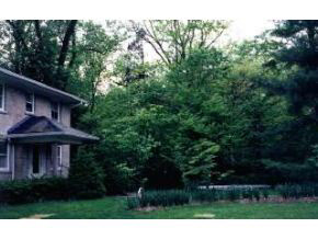 1330 East 1st Street, Bloomington, IN 47401 photo 4