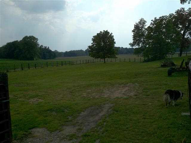 9021 E Pepmeier Rd, Oaktown, IN 47561 photo 11