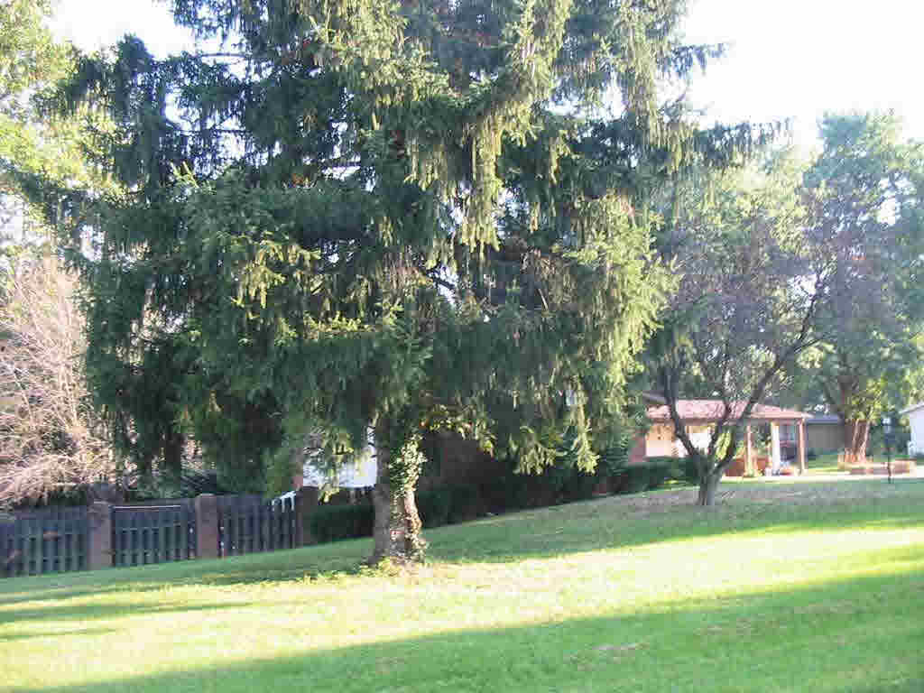 2269 E Seminole Dr, Vincennes, IN 47591 photo 3