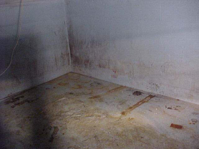 409 N High St, Lagrange, IN 46761 photo 13