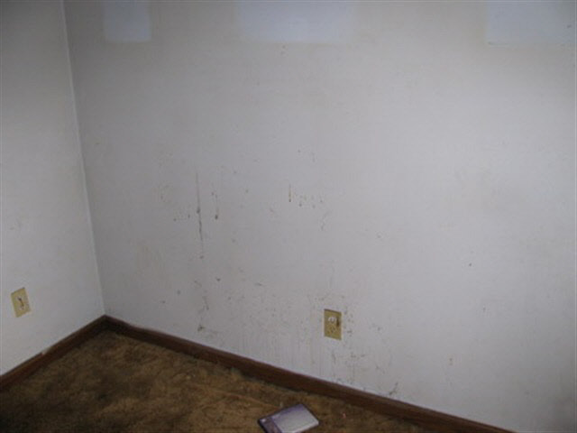 6041 County Road 4, Hamilton, IN 46742 photo 4