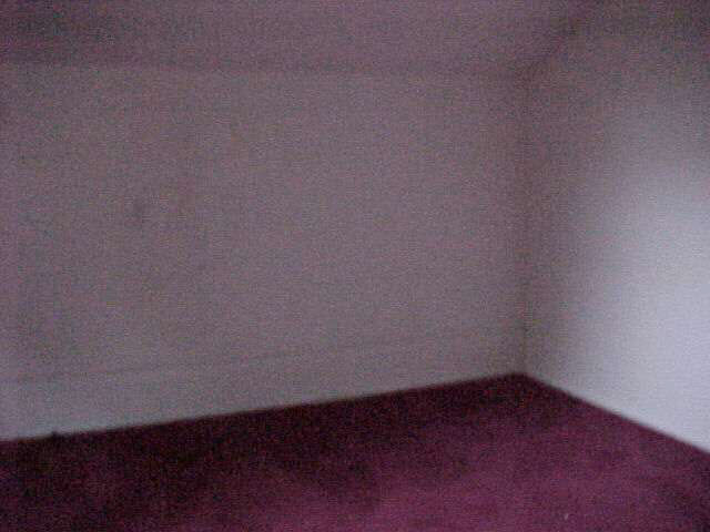 208 Fulton St, Ligonier, IN 46767 photo 6