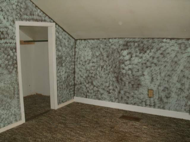 207 W Bell St, Lagrange, IN 46761 photo 13