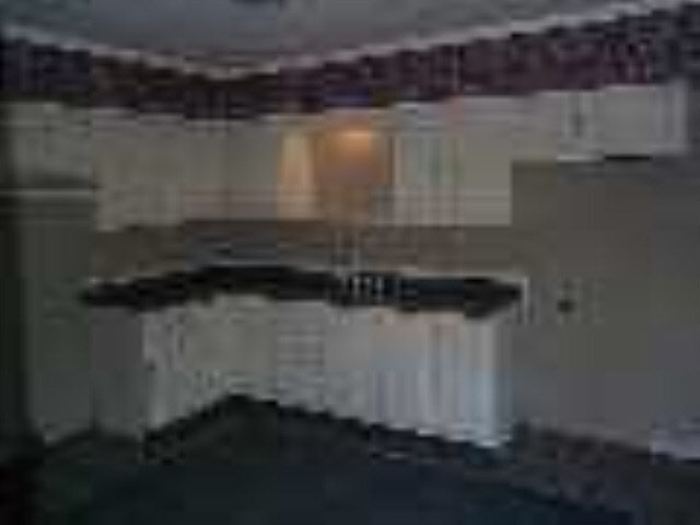 11830 E 435 S, Stroh, IN 46789 photo 5
