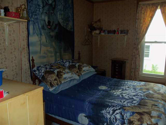 545 S Elm, Waterloo, IN 46793 photo 4