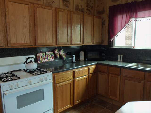 545 S Elm, Waterloo, IN 46793 photo 3