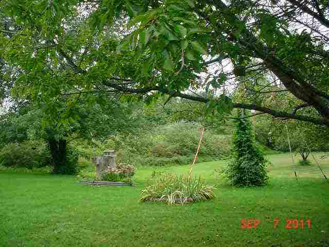 20 Lane 385 Big Otter Lk, Fremont, IN 46737 photo 6