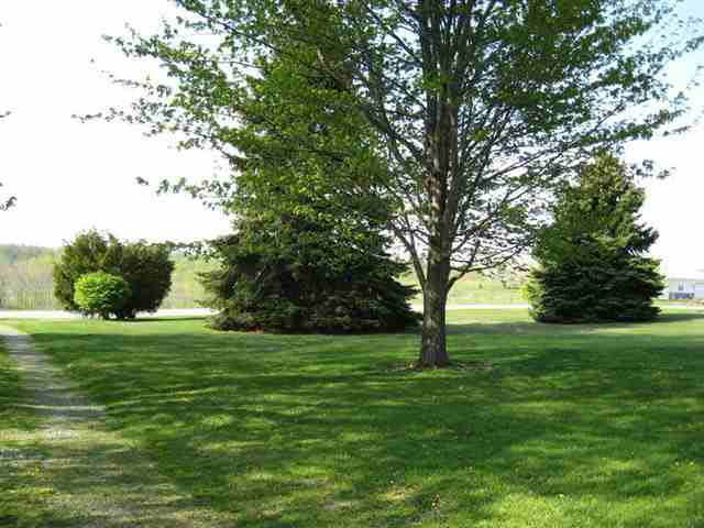 11255 E Baseline Rd, Avilla, IN 46710 photo 5