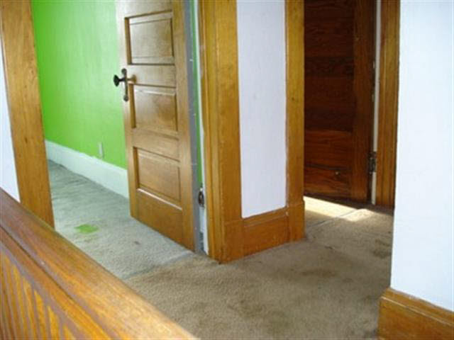 317 W Spring St, Lagrange, IN 46761 photo 13
