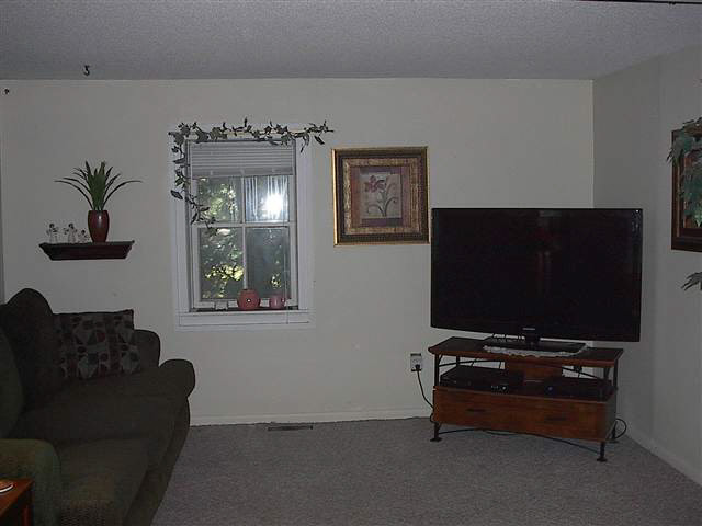 195 Spring St, Waterloo, IN 46793 photo 5