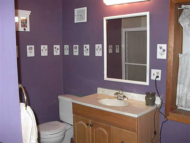 195 Spring St, Waterloo, IN 46793 photo 9