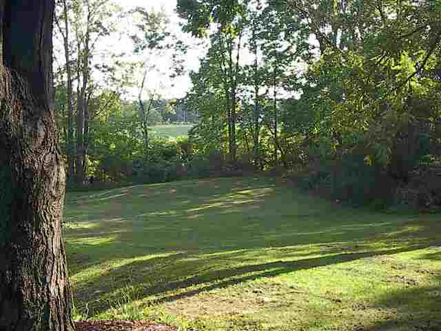 195 Spring St, Waterloo, IN 46793 photo 3