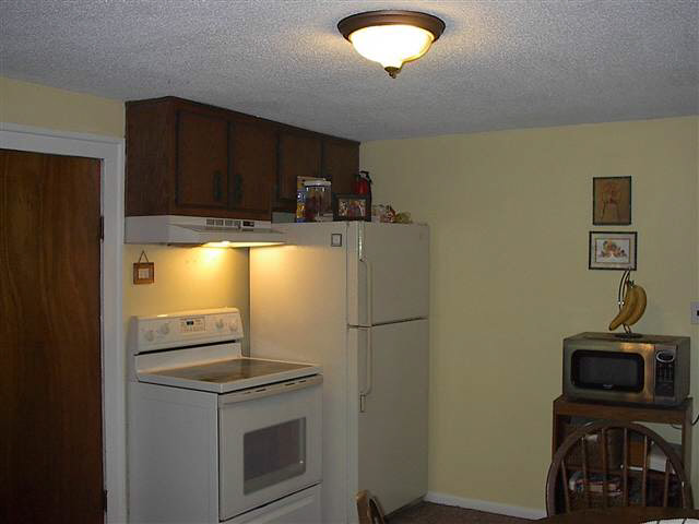 195 Spring St, Waterloo, IN 46793 photo 7