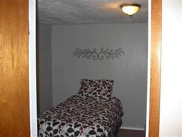 195 Spring St, Waterloo, IN 46793 photo 10