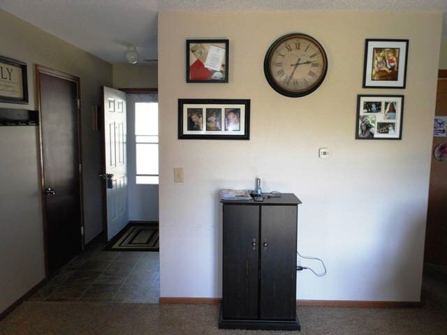 304 Chapel Ln, Ashley, IN 46705 photo 12