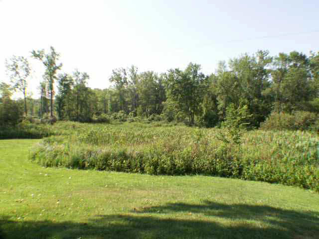 7190 County Road 4a, Hamilton, IN 46742 photo 9