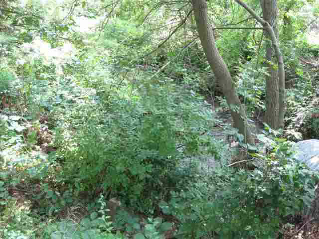400 E Spring St, Lagrange, IN 46761 photo 4